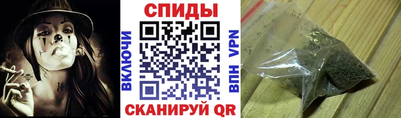 даркнет сайт  Павловский Посад  Бутират буратино 
