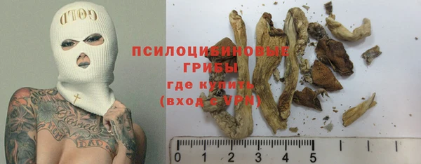 прущий лед Алексеевка