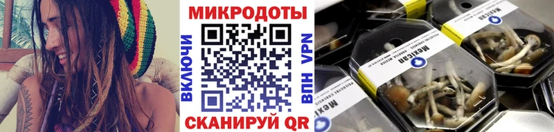 как найти закладки Павловский Посад Галлюциногенные грибы мухоморы